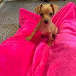 Sheri Phillips Heffron - @sheriphillipsheffron1 - Instagram
