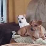 Sheri Pierce - @sheripierce2612 - Instagram