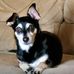 Sheri Pierce - Facebook