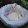 sheripoole39 - @sheri.poole8 - TikTok