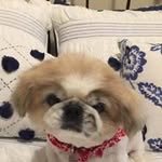Sherri Poole - @sherripoowv - Instagram