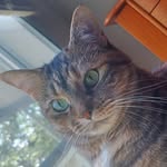Sherry Riddle Parks - @srparks2011 - Instagram