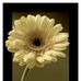 Sherri Ulvestad-Rupp - Facebook