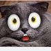 Sheri Sharp - Facebook