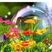 Sheri Sharpe - Facebook