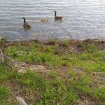 Sheri Short - @sheri.short1 - Instagram