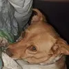 Sherri Solomon - @sherri.solomon7 - TikTok