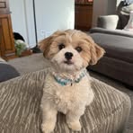 Sheri Steck - Facebook