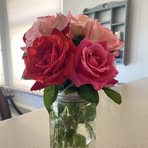 Sheri Strain Shepherd - Facebook