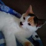 Sherry strain - @sherrystrain110 - Instagram