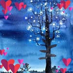 Sheri Sutherland Sinar - @sssinar - Instagram