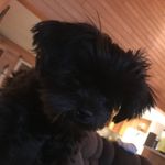 Sheri Sweeney - @sheri.sweeney - Instagram