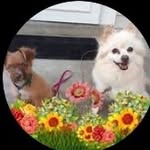 Sheri Welsh Kernik - @sheri.kernik - Instagram
