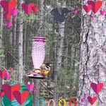 Sheri Schema Wiley - @wmhs1976 - Instagram