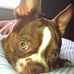 Sheri Wiley - Facebook