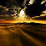 Sheri Williamson - @sheriwilliam - Instagram