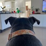 Sheridan Workman - @sheridan.workman - Instagram