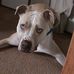Sheri Yoder - Facebook