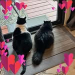 Sheri-Lynn Younger - @sher1964 - Instagram