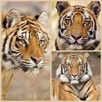Sherida Coleman - @sherida.coleman.391 - Instagram