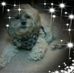 Sherie Mitchell - Facebook