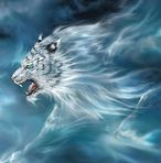 Sherif Diab - Facebook