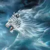 Sherif Diab - @sherif.diab7 - TikTok