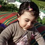 Sherif Diab - @sh_conar - Instagram