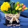 Sherif Iskander - @sherifiskander1 - TikTok