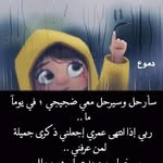 Sherif Moustafa - @sherifmoustafa77 - Instagram