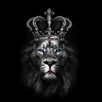 Sherif Osman - Facebook
