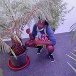 Sheriff Jallow - @sheriff.jallow.944023 - Instagram