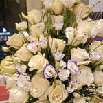 Sheriff Mohammed - @sheriffmohammed607 - Instagram