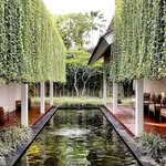 Sherise Williams - @s.w.landscape_architecture - Instagram