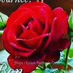 Sherley Alexandre Dangany - @danganysherleyalexandre - Instagram