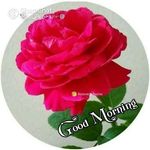 Sherly Paul - @sherly.paul.3994 - Instagram
