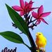 Sherly Paul - Facebook