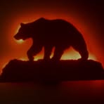 Sherman Bear - Facebook