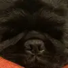 hudson_sherman - @hudson_sherman5 - TikTok