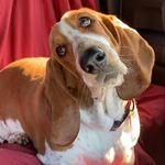 Sissy Sherman Hudson - @sissy121496 - Instagram