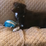 Lowell Sherman - @sherman.lowell - Instagram
