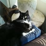 Sherman Lowenthal - @shermanlowenthal - Instagram