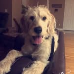 Sherman Ray - @sherman_doodle - Instagram