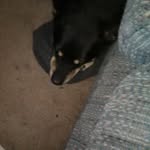 Sherman Ray Greasland - @greasland - Instagram