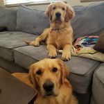 Sherman and Wallace - @r2goldnbros - Instagram