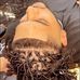 Shermone Johnson - Facebook