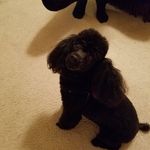 Sheron Thomas - @sheron.thomas50 - Instagram