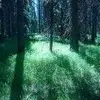 sherrisayers - @sherrisayers - TikTok