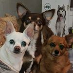 Sherri Bayless - @sbayless62 - Instagram