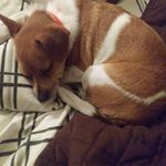 Sherri Benedict - @sherri.benedict.161 - Instagram
